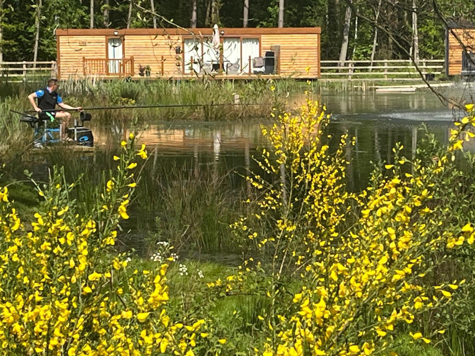 Oak Boutique Lodge Includes Hot Tub Air Con & Dog York Luaran gambar